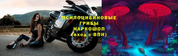 тгк Алексин