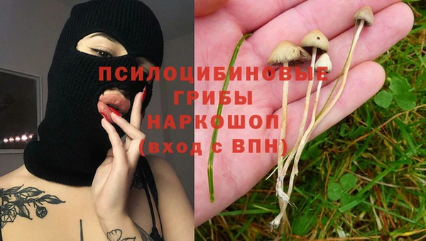 ALPHA PVP Канск