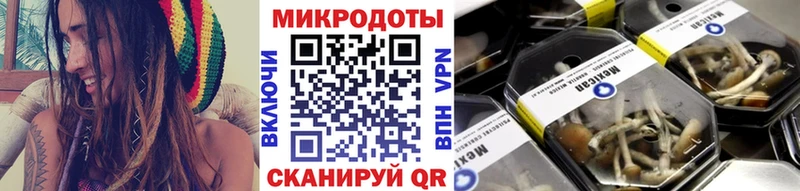 блэк спрут сайт Юрьев-Польский Псилоцибиновые грибы мицелий купить закладку